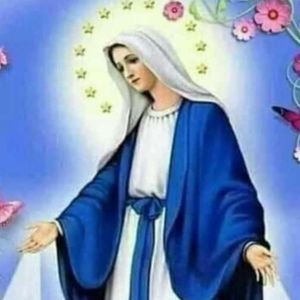 Meet your Posher, Eugene